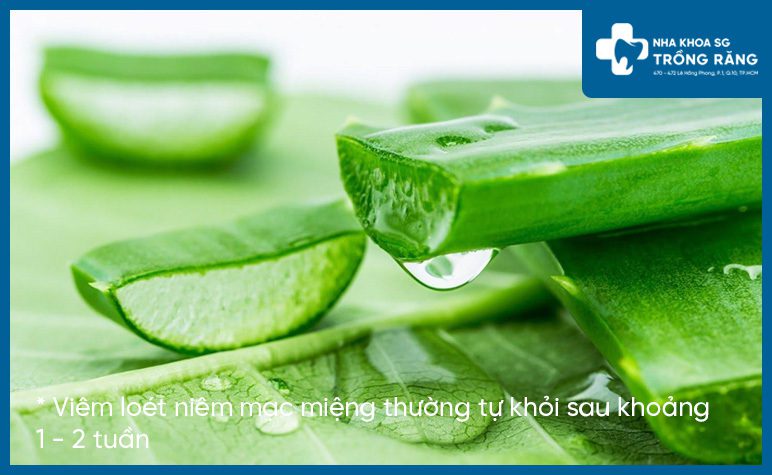 Trị Viêm loét niêm mạc miệng bằng nha đam