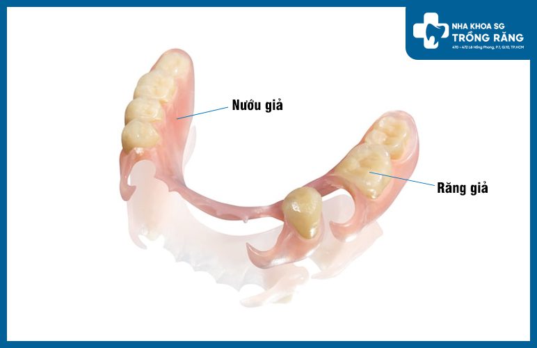 răng giả tháo lắp nhựa cứng răng giả tháo lắp nhựa cứng